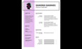 create professional cv, resume writing, resume maker