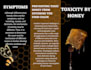 design handouts and bifold and trifold brochures