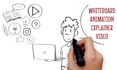 create a professional whiteboard explainer animation video