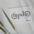 create ambigram for you