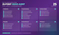 do odoo accounting setup, system audit and erp health check
