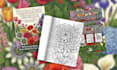 create coloring book pages and book cover for amazon KDP