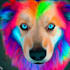 droning pet portrait your pet