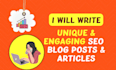write SEO friendly article and blog post for your website