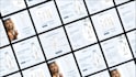 be your monthly social media manager