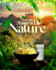 create beautiful flyer designs