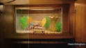 provide professional quality visual effects