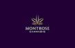 chic boutique cannabis logo design