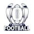 create creative and stylish american football logo design