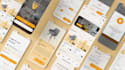 do app design website design and ui ux design in figma xd