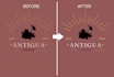 logo design, redesign, recreate, redraw, refresh, revamp, edit, and rebrand