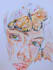 make watercolour illustrations for you