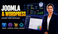 migrate backup and maintain wordpress or joomla website