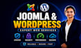 handle wordpress or joomla website backup, updates, upgrades and migration