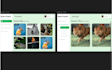 do web development using mern stack