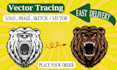 redraw, vectorize, retrace image to vector, convert to vector trace logo,resize