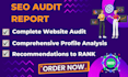 provide website audit and competitor analysis SEO report