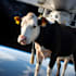 create ultra realistic art using latest stable diffusion
