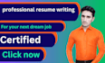 provide professional resume writing services
