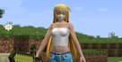 make minecraft blockbuster 2d and 3d models