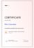 create your high quality website with the cheapest price
