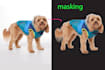 dog hair masking and  remove background product retouch