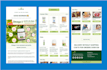 code responsive HTML email template and newsletter template