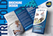 design a professional flyer, brochure, banner, or leaflet