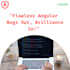 fix angular bugs with precision
