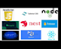 do front end web development in next js react with node js backend