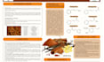 design eye catching research, scientific, conference posters