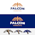 make creative eye catching falcon logo design in 24 hours