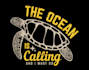 design good looking turtle logo
