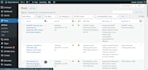 do full wordpress on page SEO for business website google ranking