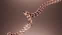 luxury 3d jewelry animation and photorealistic jewel