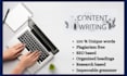 write SEO article and unique content