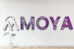 create 3d logo design for you