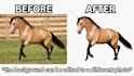 do image background removal with fast delivery