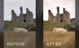 edit and retouch your wildlife photography