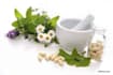 holistically guide as herbalist, naturopath and dietitian