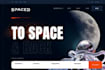 design wordpress website ecommerce store or business website