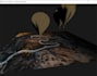 do your c cpp python java opengl sfml glew glut glfw gui programming project