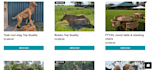 build a modern responsive website that attracts buyers