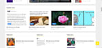 create professional wordpress website, full customization,design, development