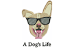 do custom embroidery digitizing design in dst, emb, pxf file