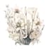create a watercolour botanical illustrations