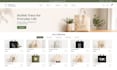 modify unique shopify ecommerce dropshipping website