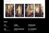 develop full shopify website