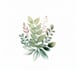 design custom botanical logo