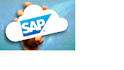 provide sap basis support